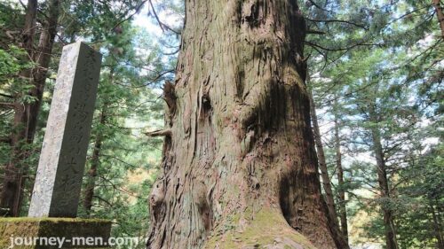 山梨の巨木！湯島の大杉は一見の価値あるパワースポット